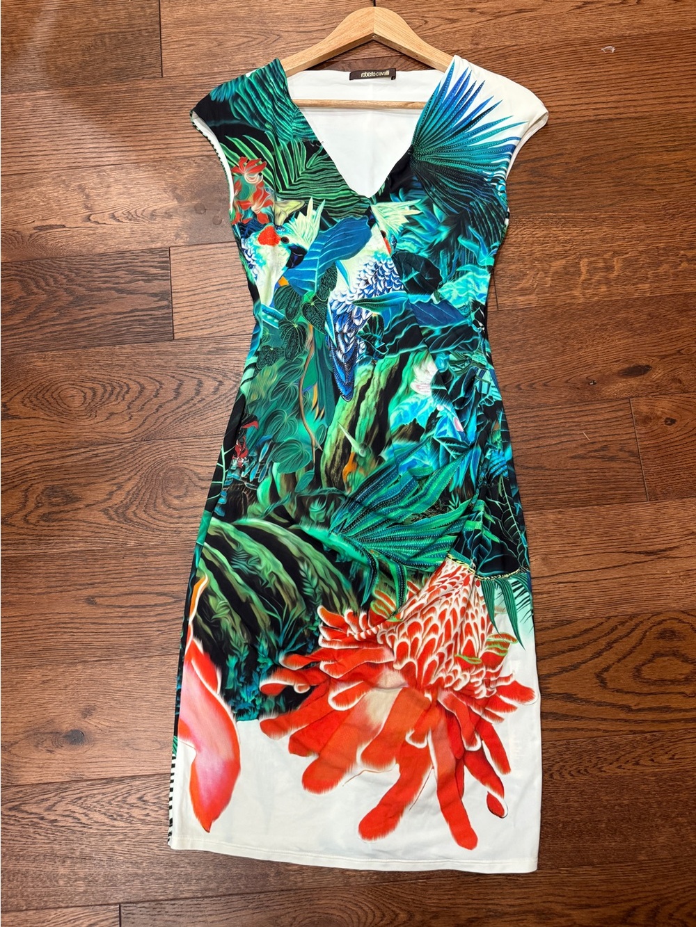Roberto Cavalli Women's US 6 IT 42 Tropical Parrot Jungle Dress